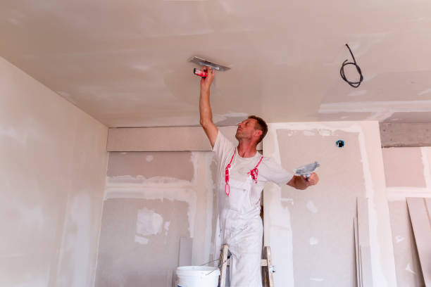 Best Drywall Removal and Disposal  in Simpsonville, KY